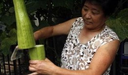 会长吃瓜爆料是真的吗,真相还是谣言？